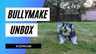 BullyMake Box Dog Subscription Unbox and Review with My Malamute