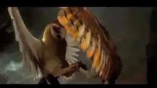 Kludd : Animal I have Become