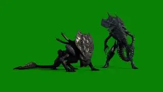 King Alien vs Queen Predator Green Screen VFX. (No copyright ).