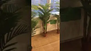 Искусственный Пальмы от palmate.ru