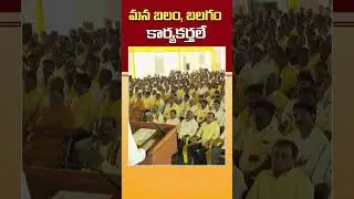TDP Parliament Committee Workshop | Minister Nara Lokesh | Telugu Desam Party Cadre Meeting