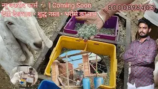 🐐 New Bakri Farm House Opening | Coming Soon 🔥🔥...8000896403
