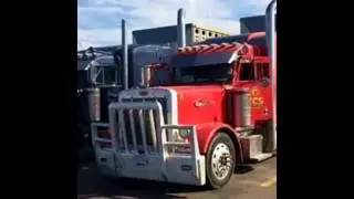 Bullwagon Struttin'