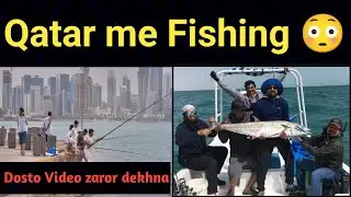 Fishing in Qatar! fishing in qatar ! #qatarlife #fishing #qatar ! #Salimjourney