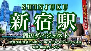 新宿駅周辺 保存版ダイジェスト② #東京観光
