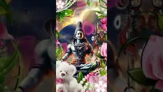 #jagara status #shivaratri bhajan#🔱🔱🔱🔱