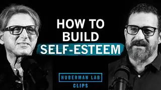 How to Build Self-Esteem as a Man | Terry Real & Dr. Andrew Huberman