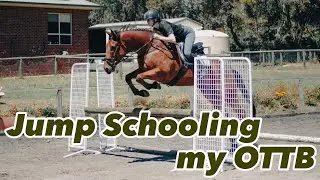 HORSE LEARNS GRIDWORK // OTTB Jump Schooling Vlog