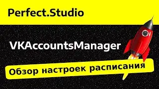 Обзор настроек расписания | VKAccountsManager | Perfect.Studio