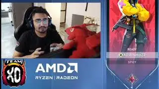 PSY Got Offer From 2 Orgs🤔 | TEAM XO Future Plans