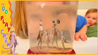 Sea-Monkeys Pet Science Experiment for Kids Videos for Kids