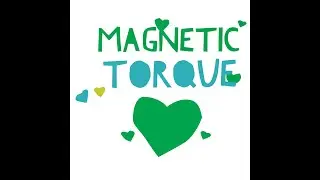Magnetic Torque