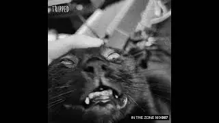 Tripped - IN THE ZONE MIX007