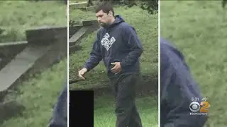 Suspect Spotted In Cypress Hills Cemetery Theft