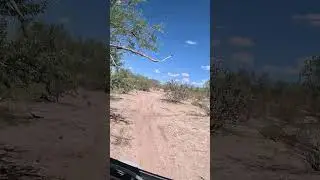 Mellow Ride