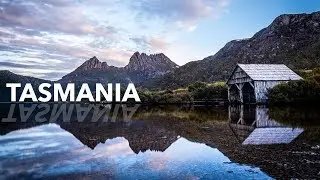 DISCOVER TASMANIA | Best Island On Earth!