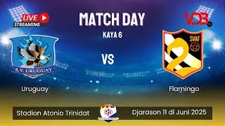 !! URUGUAY vs FLAMINGO !!  #11/6/2025