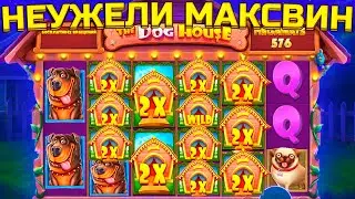 НЕУЕЖЛИ Я СДЕЛАЛ ЭТО! КУПИЛ КУЧУ БОНУСОК И СМОГ ОТМАЗАТЬСЯ С 10 000 В СОБАКАХ