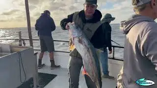 Eldorado 1.5-Day Recap | Angler Chronicles | Bluefin Tuna | Yellowtail