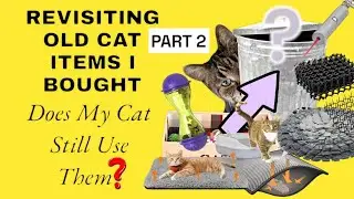 Стоят ли эти продукты для кошек того? Честный пересмотр (ЧАСТЬ 2)
