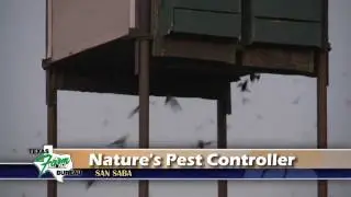 Nature's Pest Controller