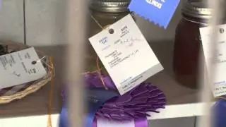 Will County Fair Apples, Honey, and Grape Entries