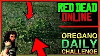 Easy Oregano Location | Red Dead Online | Daily Challenge