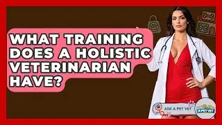 What Training Does A Holistic Veterinarian Have? - Ask A Pet Vet