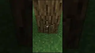 I survived 1 minute in Minecraft hardcore