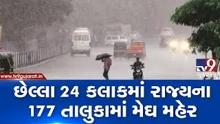 Monsoon 2019: 177 talukas in Gujarat receive rainfall in last 24 hours| TV9GujaratiNews