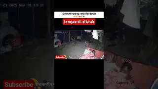 Pune leopard attack#tiger #nature #villagelife #village #attack #night