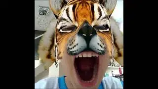 oi caramba