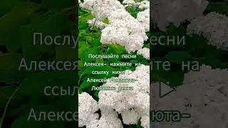 💐Цветы в саду 🌹