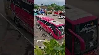 Bis Tiara Mas Priority || From Merak Cilegon Serang to Surabaya Malang #shorts