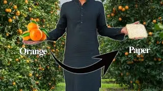 Orange🍊 Se Paper Banaya | 100% Real Experiment