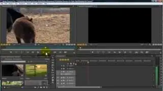 Начало работы в Premiere Pro за 10 минут
