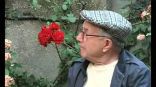 Painted Windows Episode 1: The Green Ray