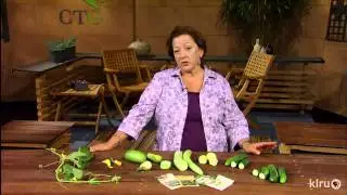 Growing cucumbers|Trisha Shirey|Central Texas Gardener