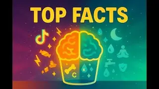 ✨ The Best Knowledge Shorts: Brain, Body & Beyond