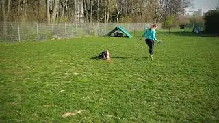 Agility Trainingsideen | Agility Basic - weitere &Uuml;bungen an 2 Pylonen