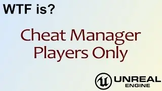 WTF Is? Cheat Manager - Players Only in Unreal Engine 4 ( UE4 )