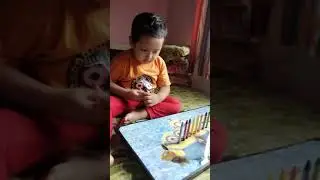 Balance /patience activity