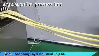 Pellet Snack Production Line: Extrusion-Frying Synergy WhatsAppWeChat:+8618906444280