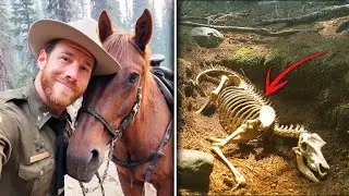 Ranger Vanished Near Mount Shasta — 6 Years Later They Find WHAT’S LEFT of His Horse…