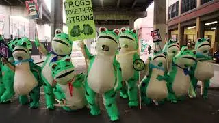The Portland Frog Brigade