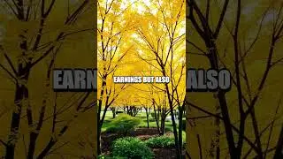 Mastering Dividend Investing for Passive Income