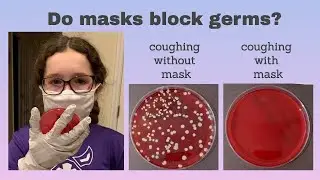 Do masks block germs?