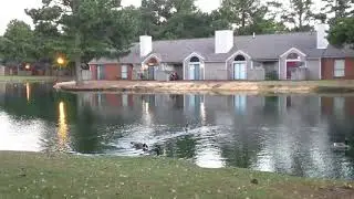 Madison Cypress Lakes Memphis Tennessee