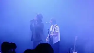 PETER DOHERTY - (Live 2025 - BDF)