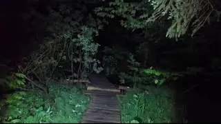   midnight man forest   Almost gone wrong 